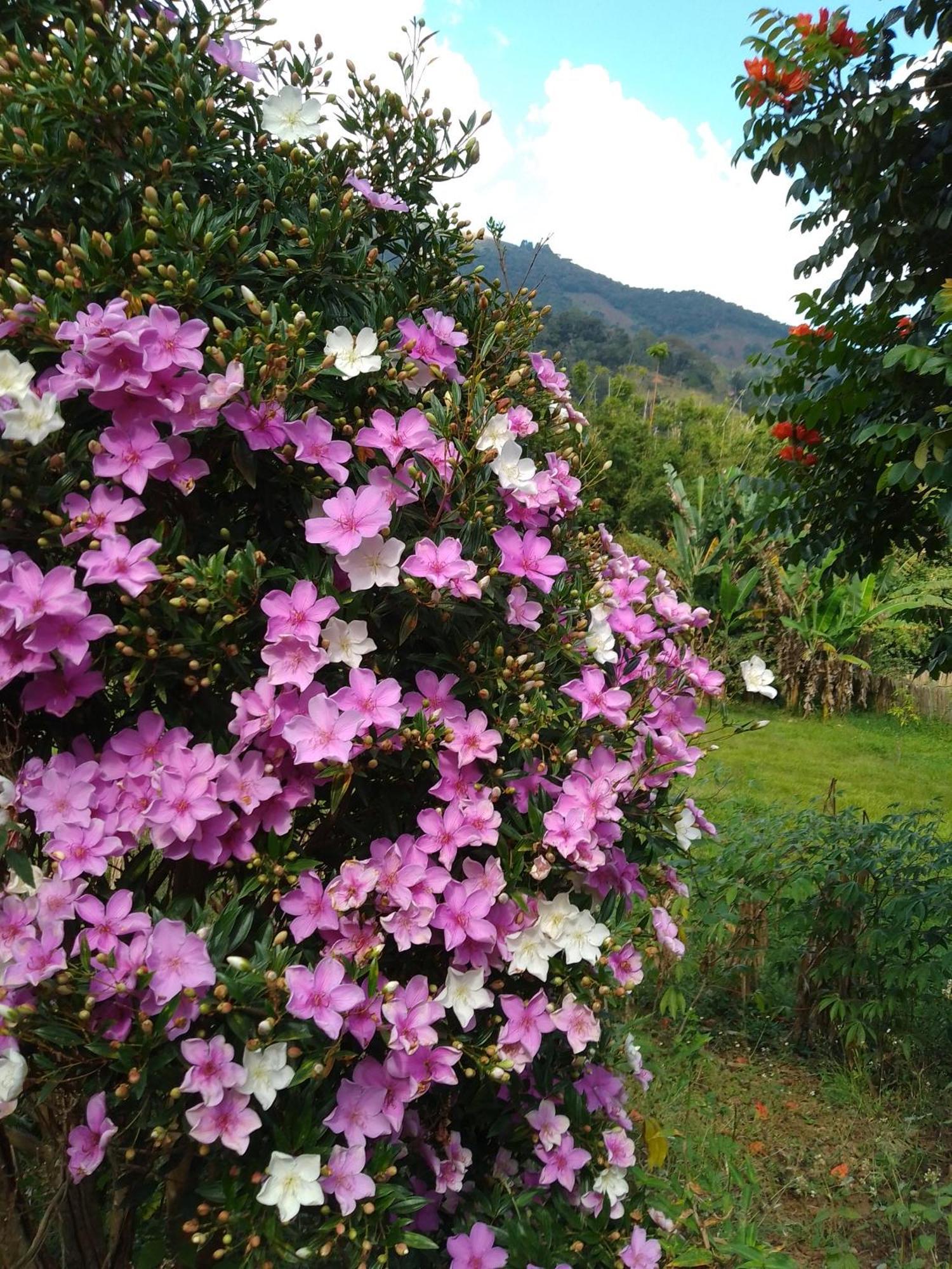 Villa Rancho Pe Da Pedra à São Bento do Sapucaí Chambre photo